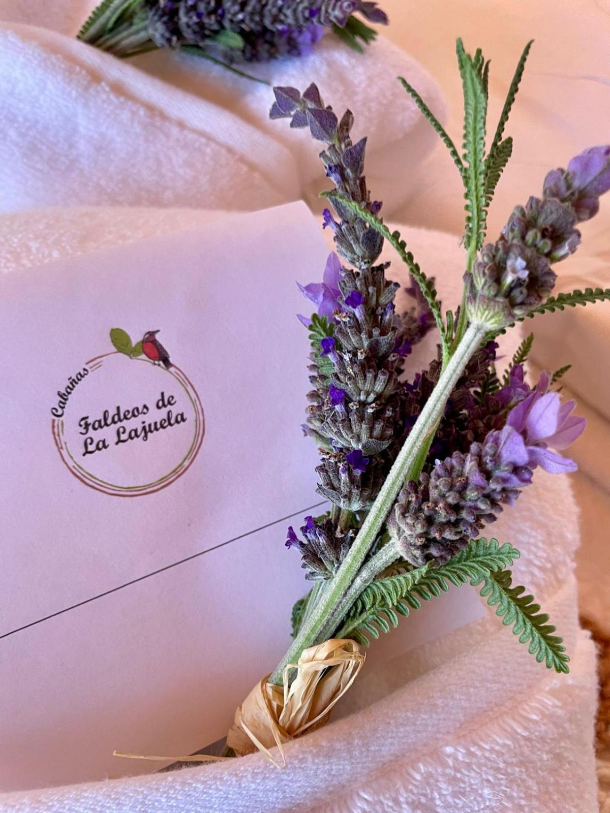 Cabanas Boutique Faldeos De La Lajuela 산타크루스 외부 사진